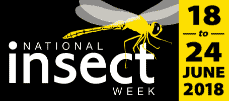 National Insect Week