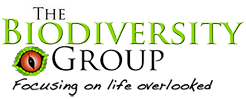 The Biodiversity Group