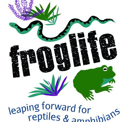 Frog Life