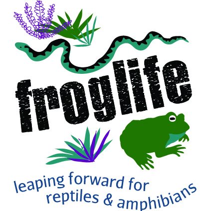 Frog Life