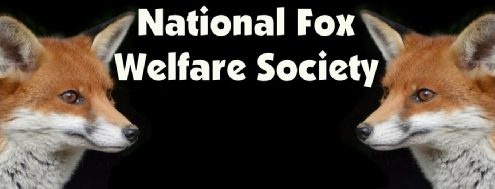 National Fox Welfare Society