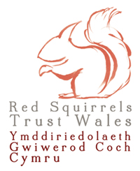 Red Squirrels Trust Wales