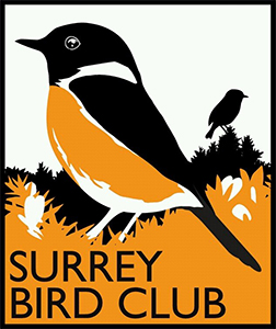 Surrey Bird Club