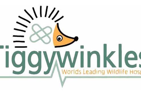 Tiggy Winkles