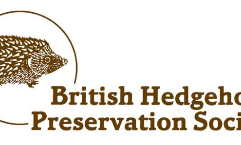 British Hedgehog Preservation Society
