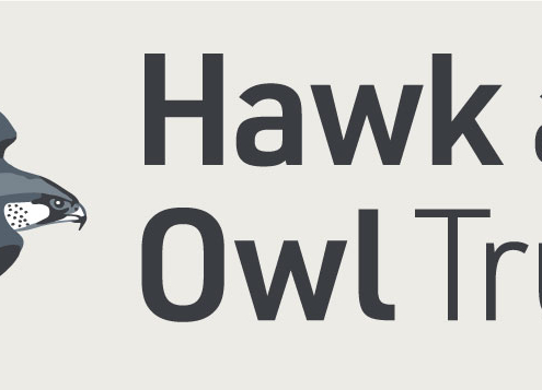 Hawk and Owl Trust