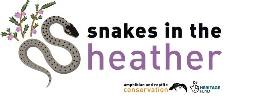 Event - Snakes in the Heather